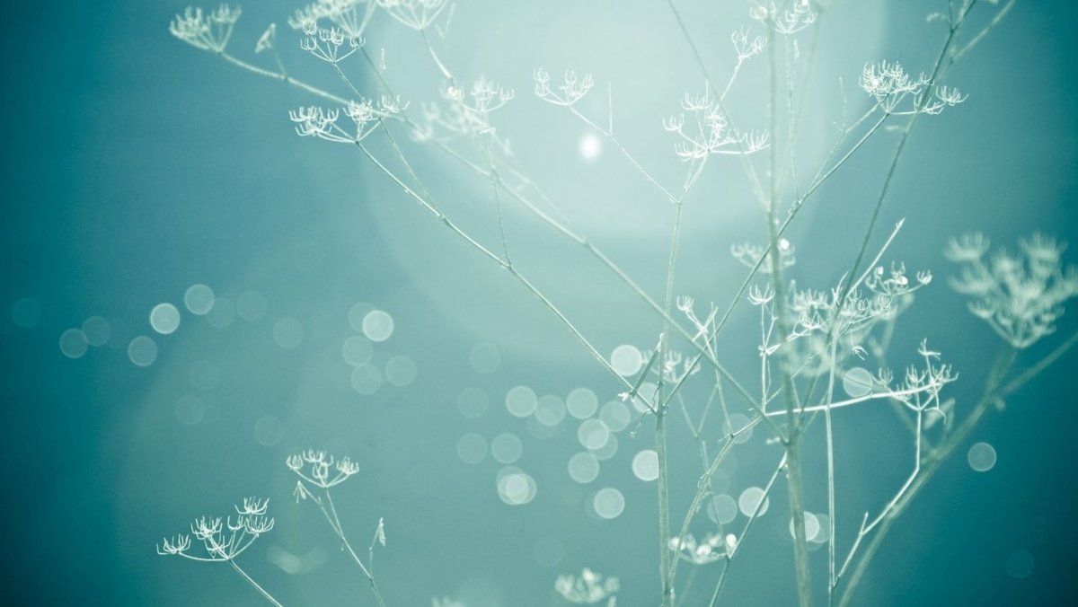 Нейтральный фон для рабочего стола