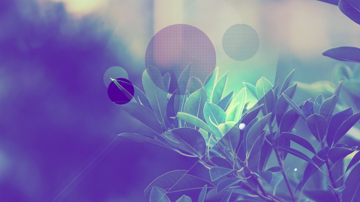 Абстракция природа