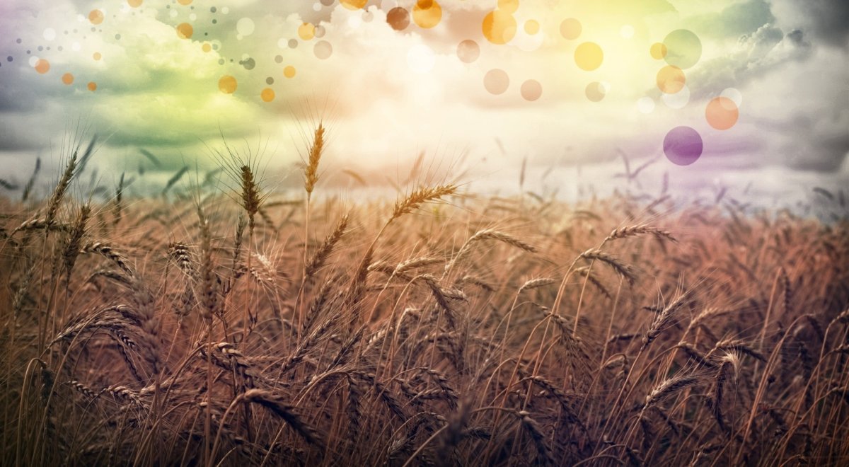 Абстракция природа