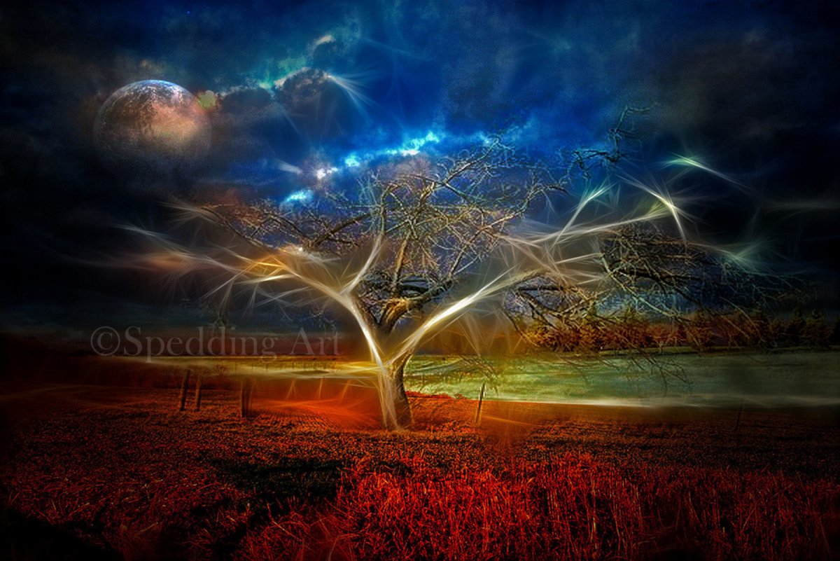 Фракталы в природе деревья