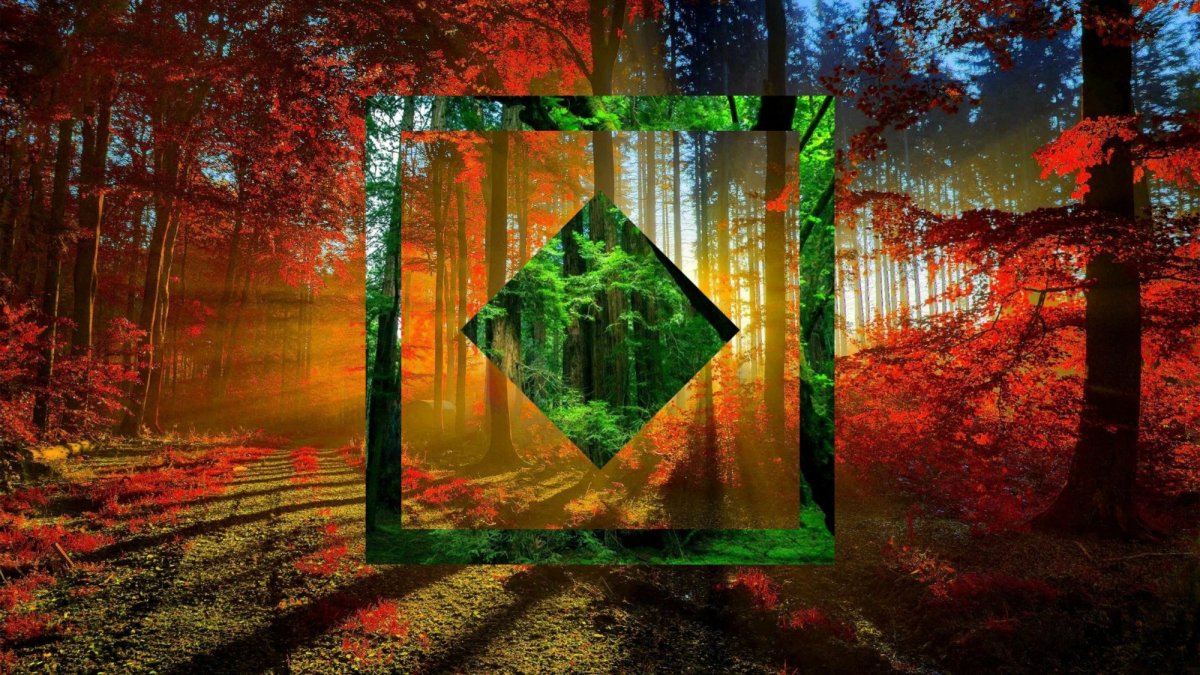 Polyscape эффект