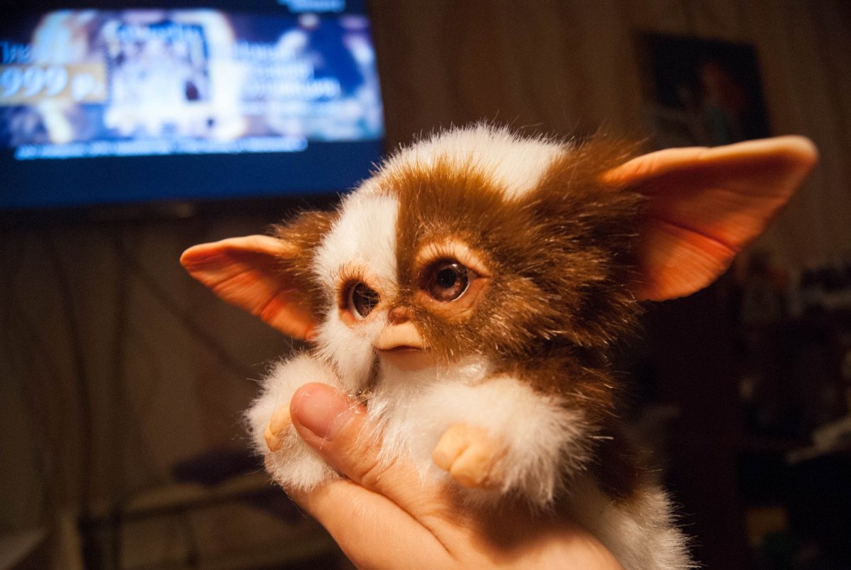 Гремлины Магвай