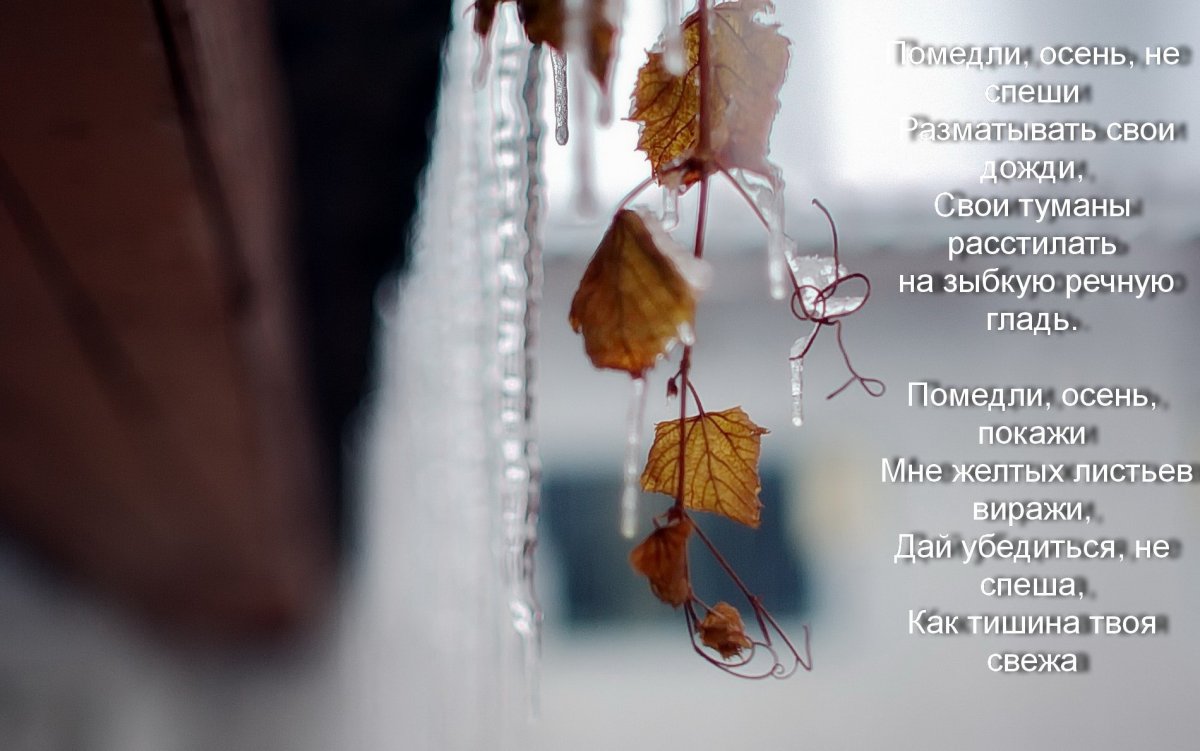 Красивые высказывания про осень