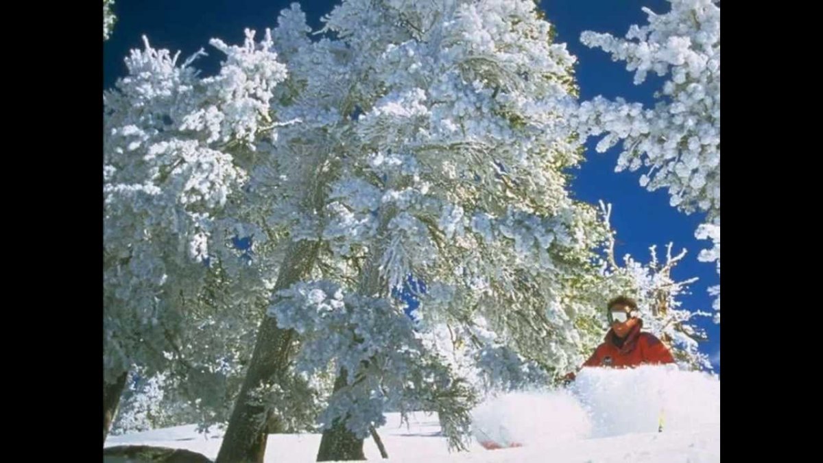 Раскрасавица зима