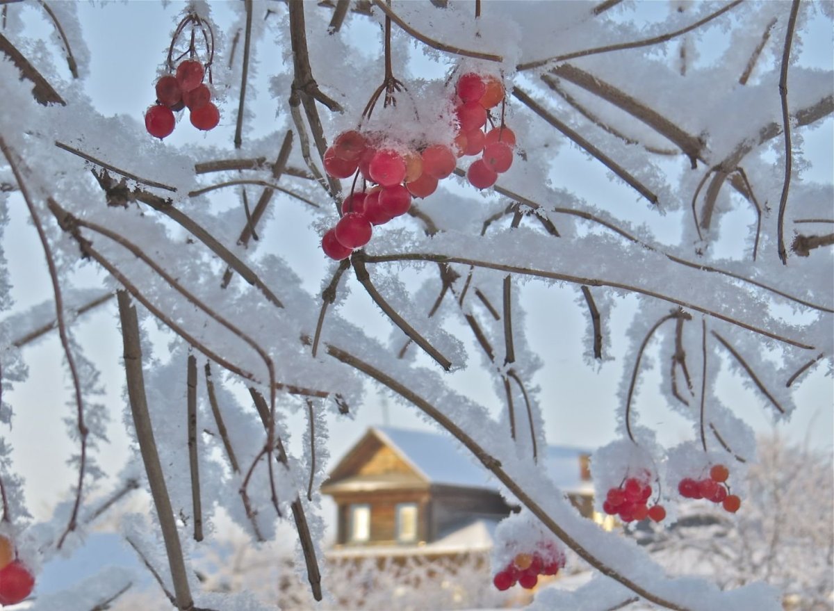 Фотоконкурс Зимушка зима