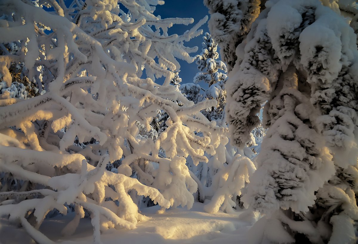 Зимушка картинки