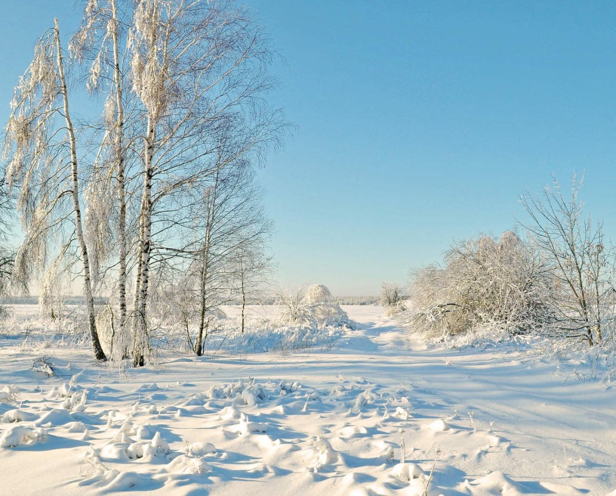 Зимушка зима картинки
