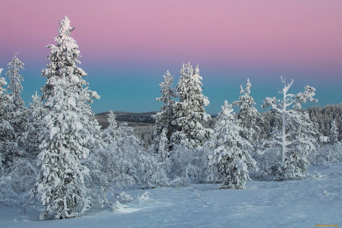 Зимние просторы