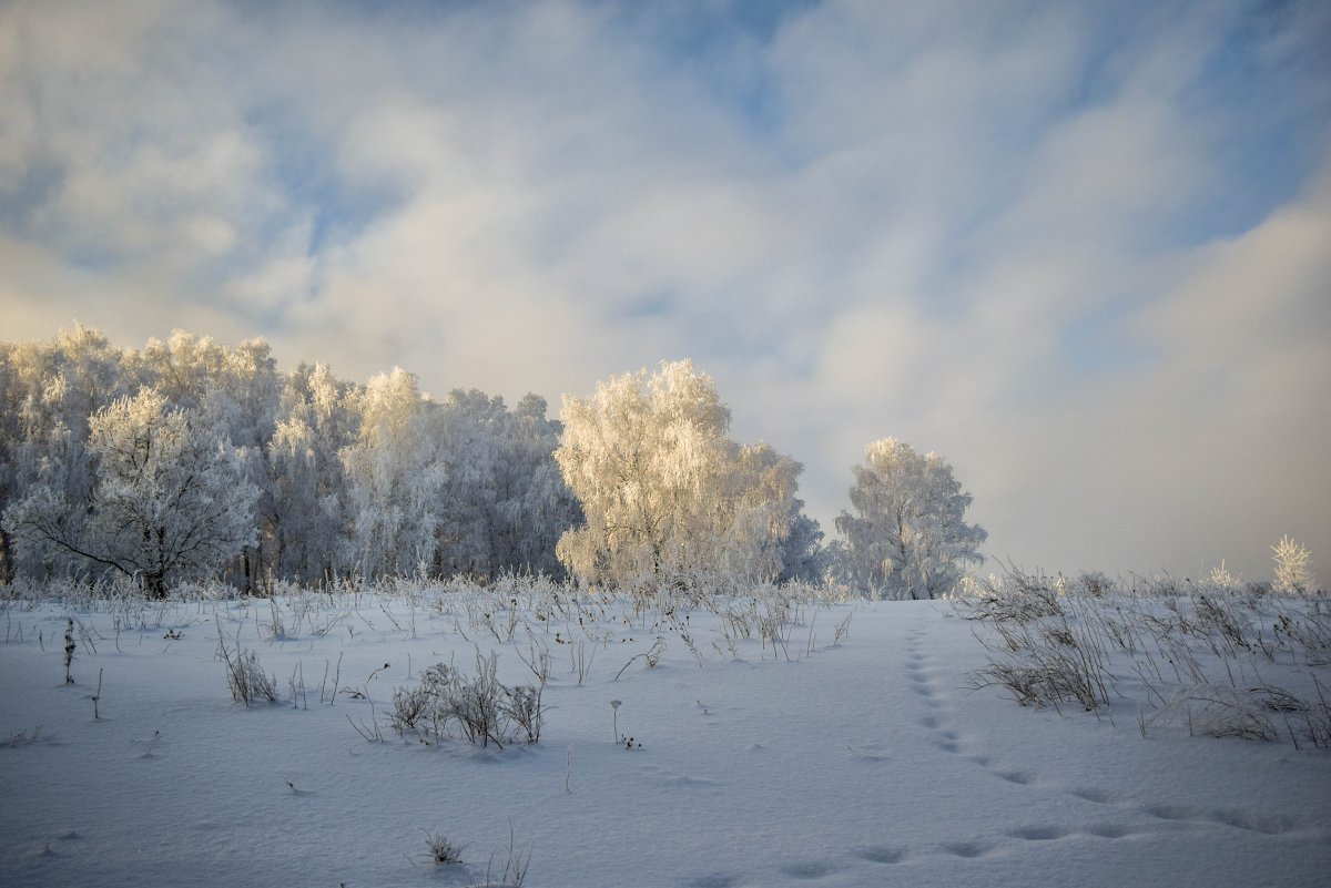 Зимушка зима