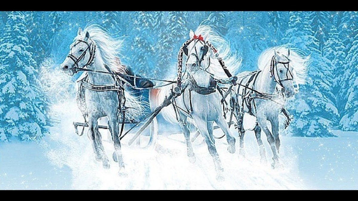 Белая лошадь в упряжке