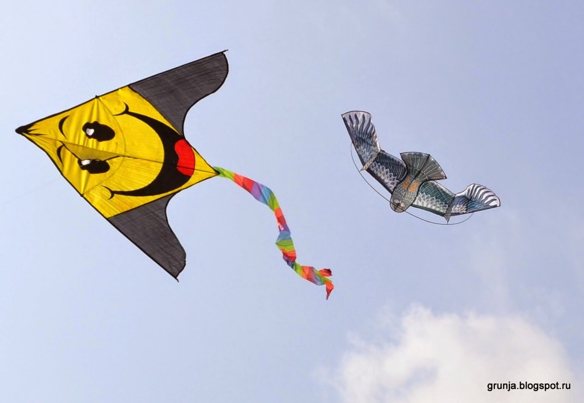 День бумажных змеев и самолетиков