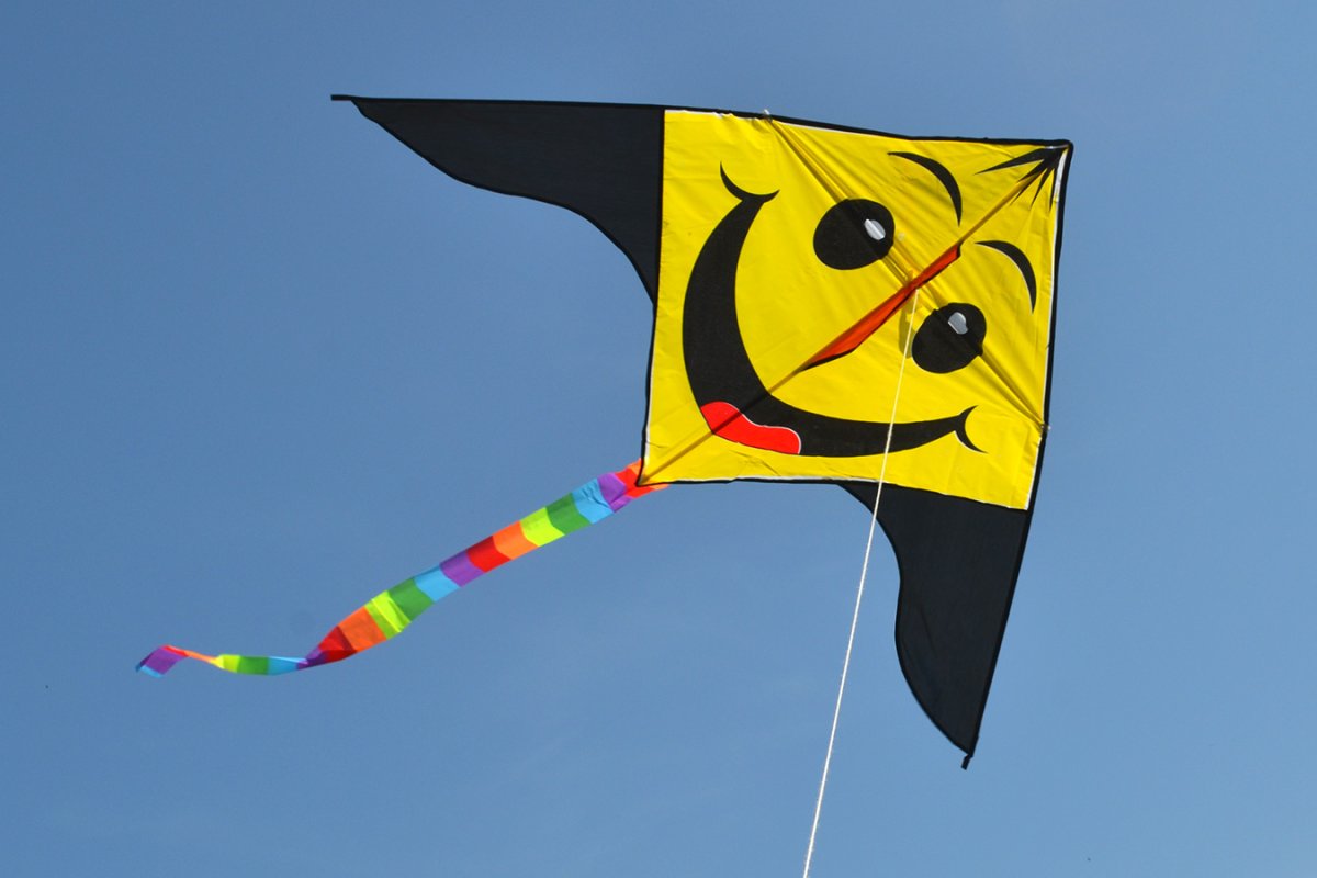 Поделка Летучий змей