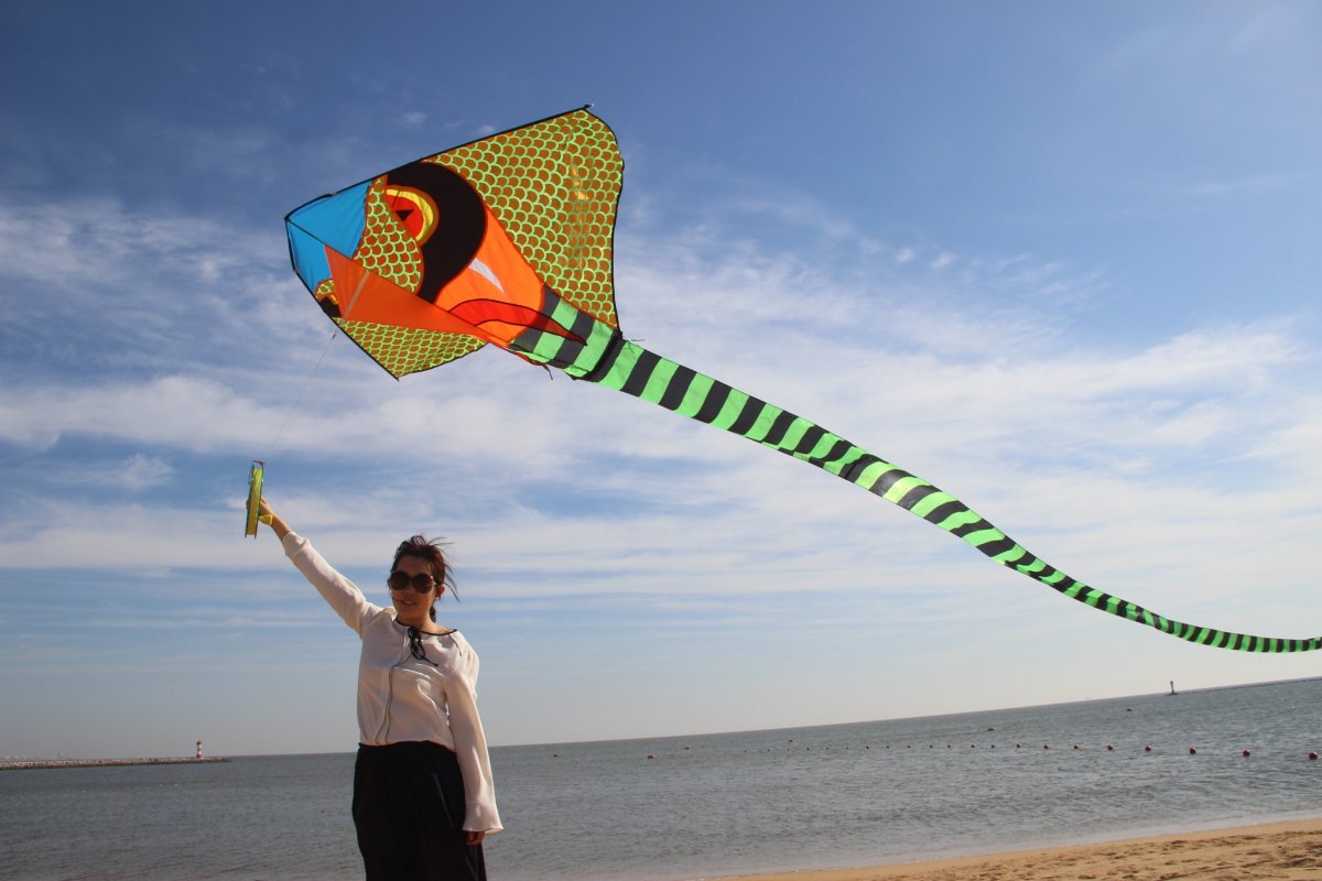 Воздушный змей