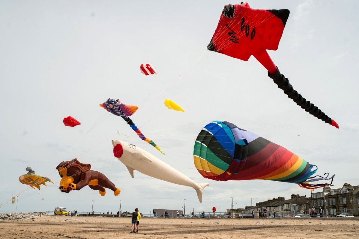 Необычные воздушные змеи