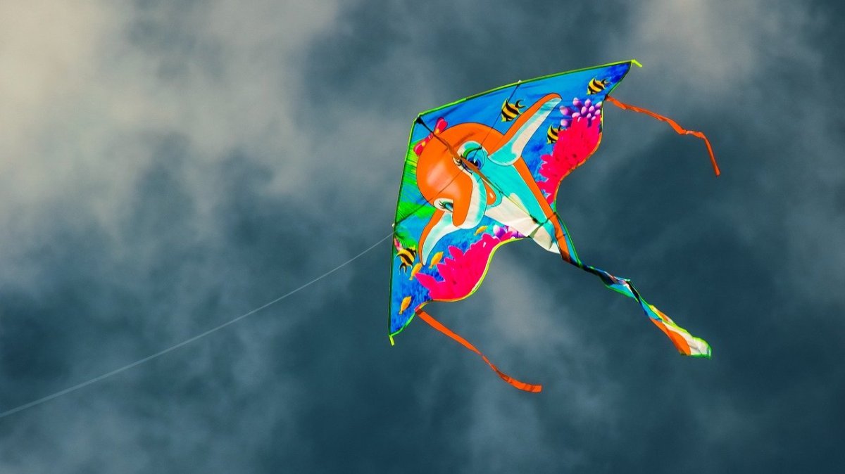 Воздушный змей змей