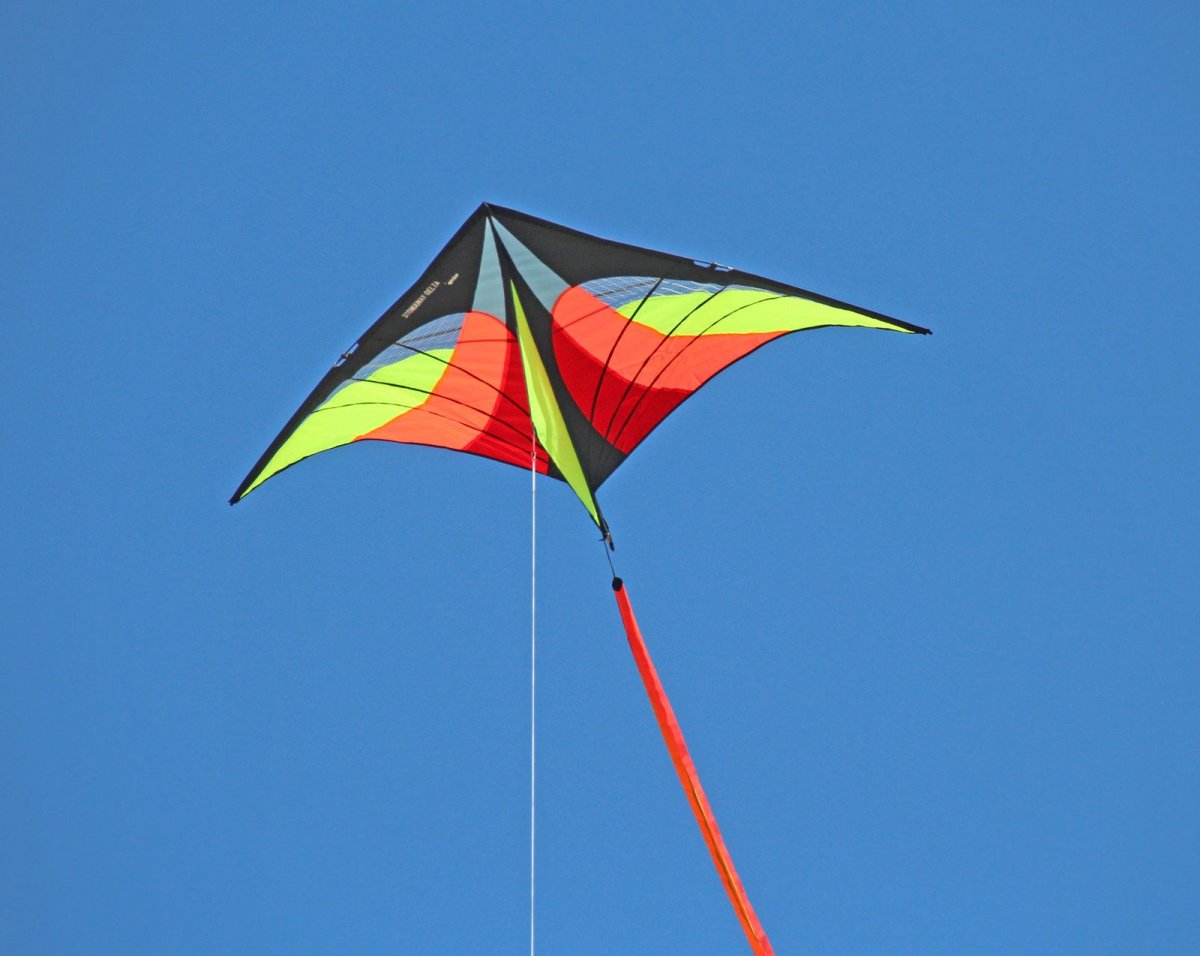 Летающий змей дельтаплан