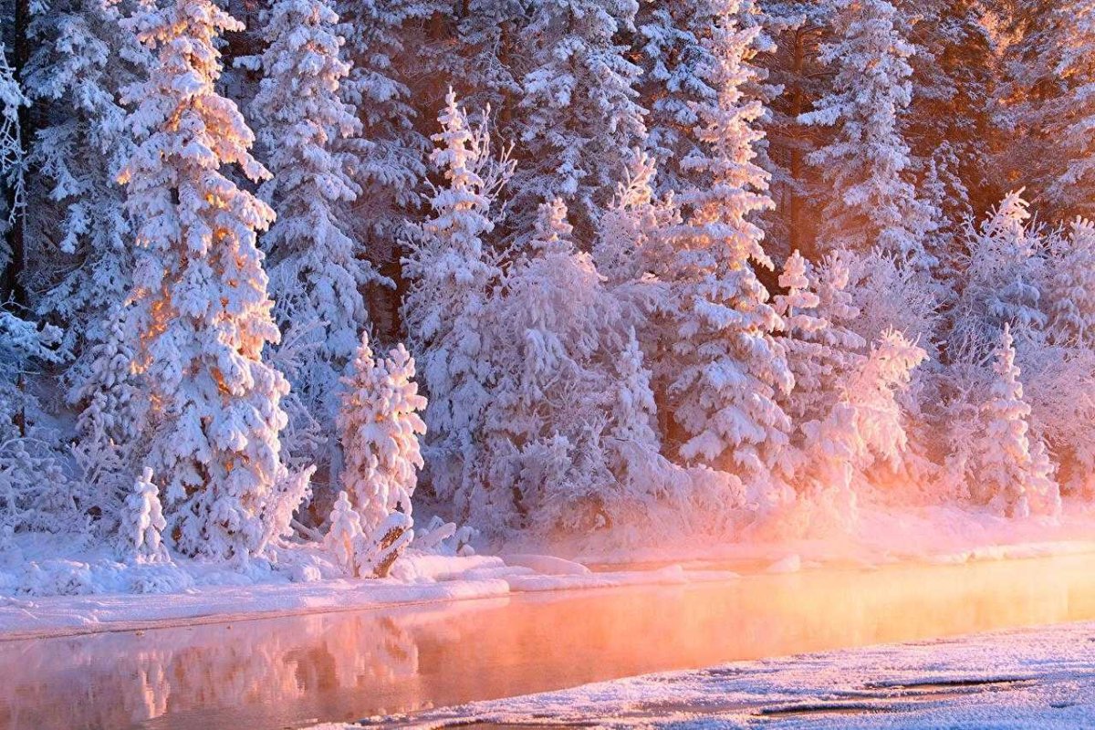 Сказочный зимний лес