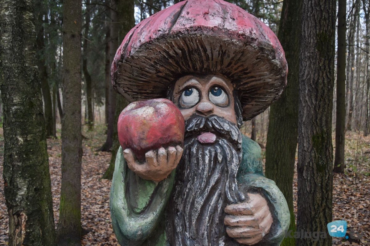 Гриб старичок Боровичок