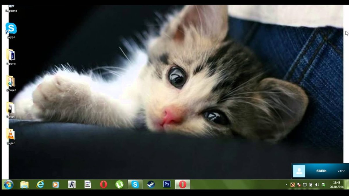 Котенок скучает