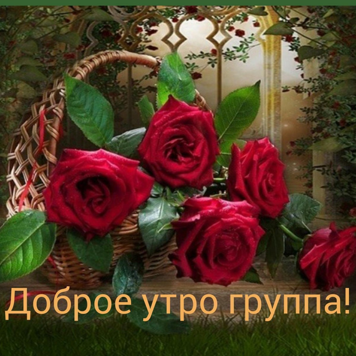 Приветствие и добрые пожелания