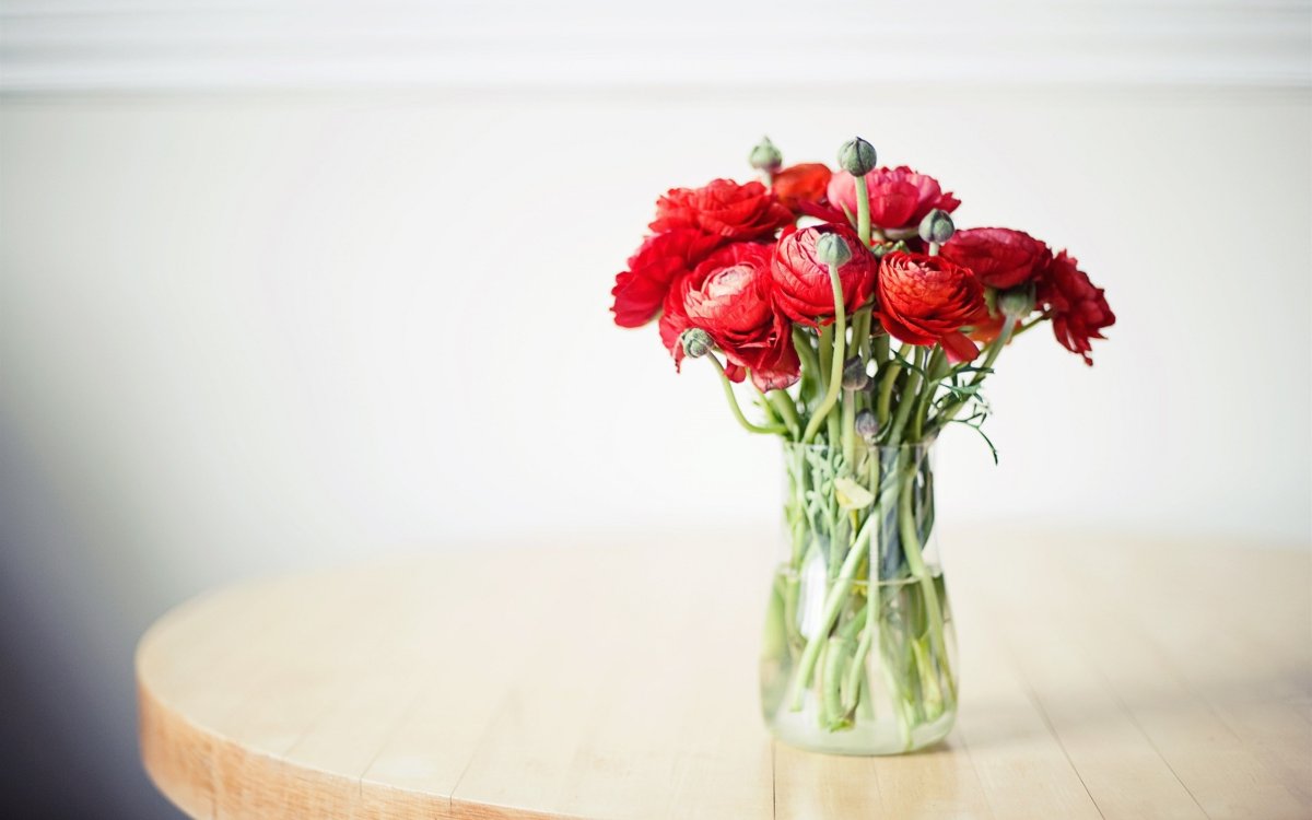 Цветы ранункулюс красные