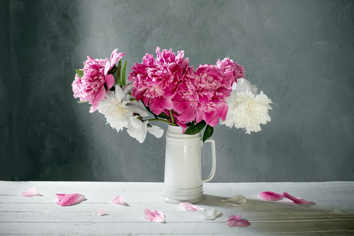 Цветы пионы в вазе