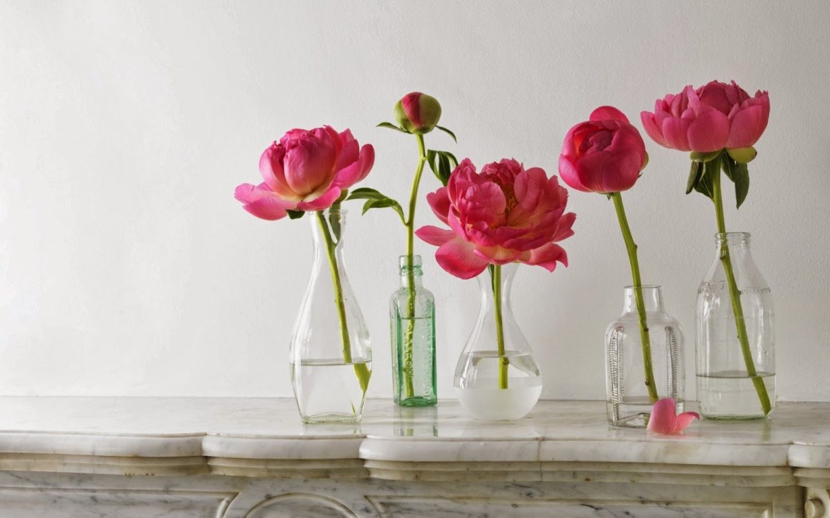 Пион в бутылке