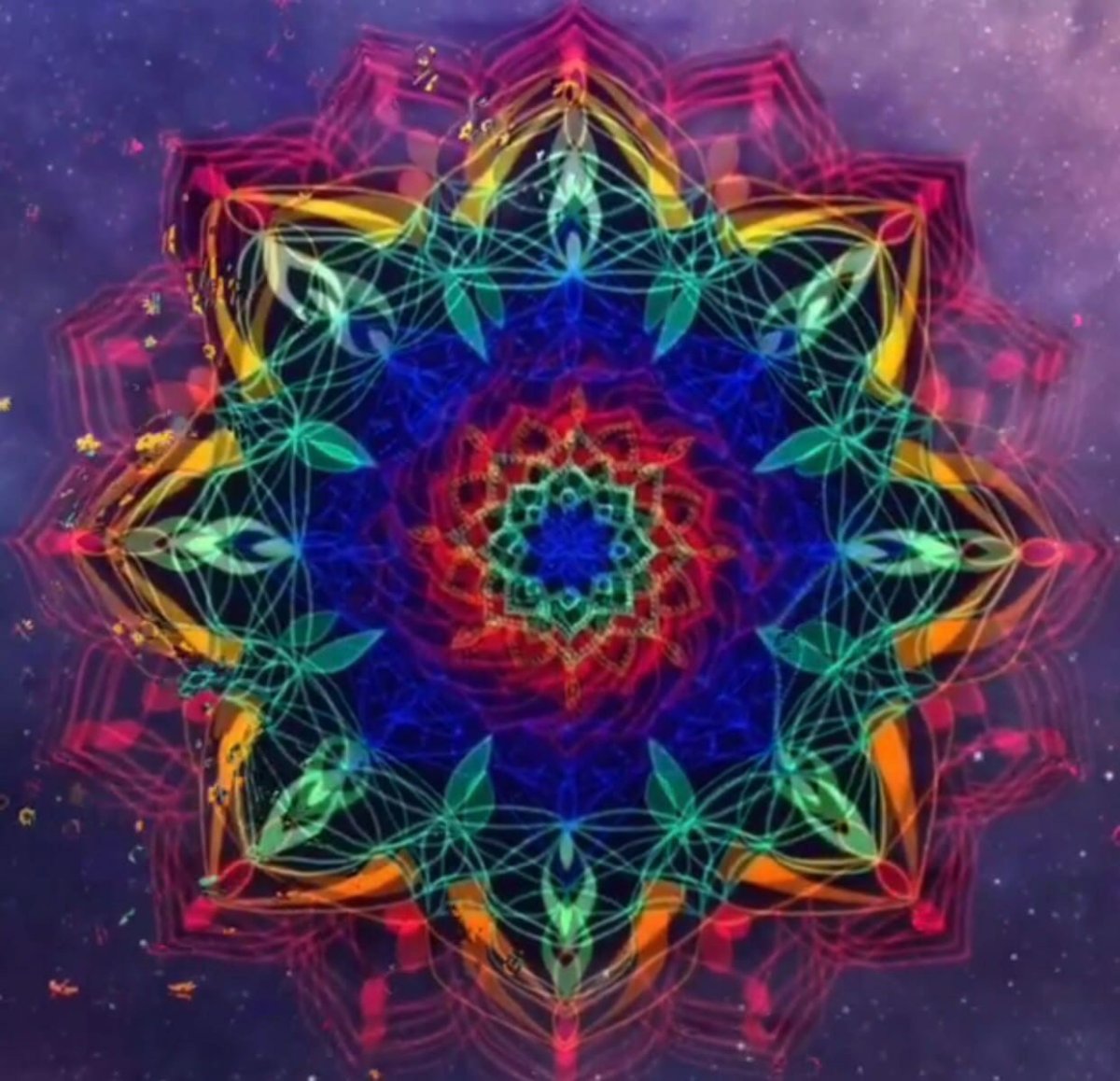 Цветок симорон исполнения желаний