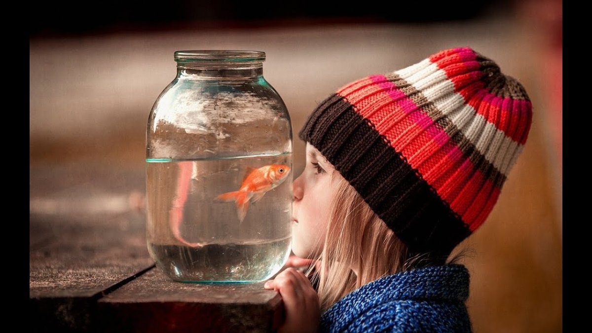 Мечты сбываются