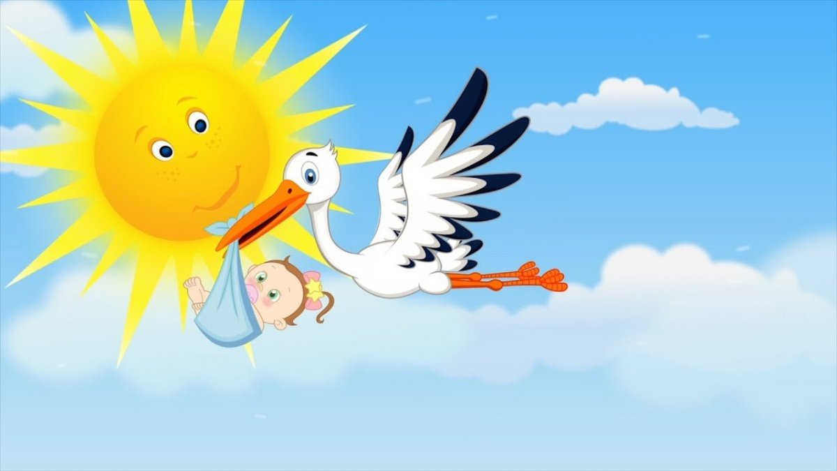 Аист картинка для детей