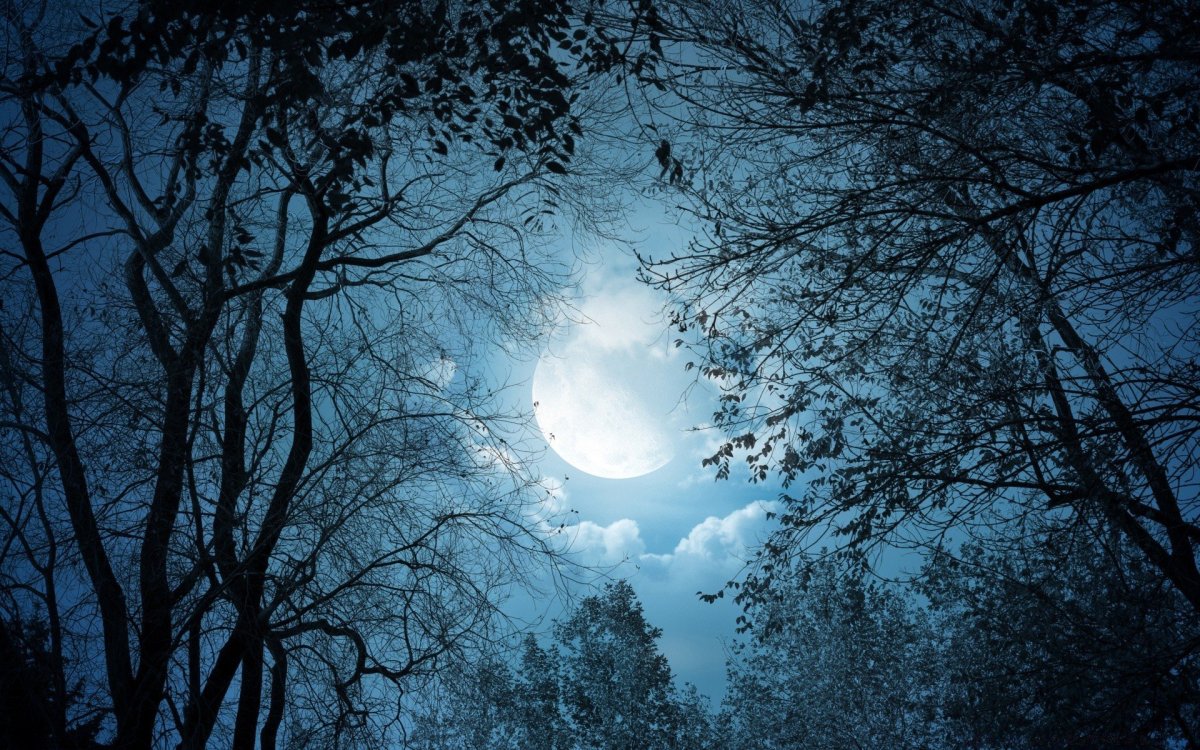 Ночь Луна