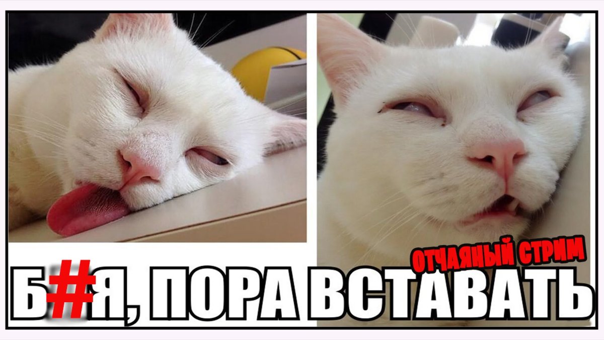 Пора вставать прикольные