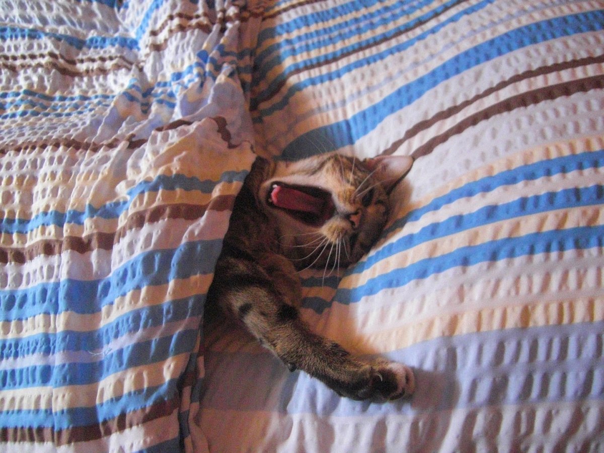 В тихом омуте черти водятся стих