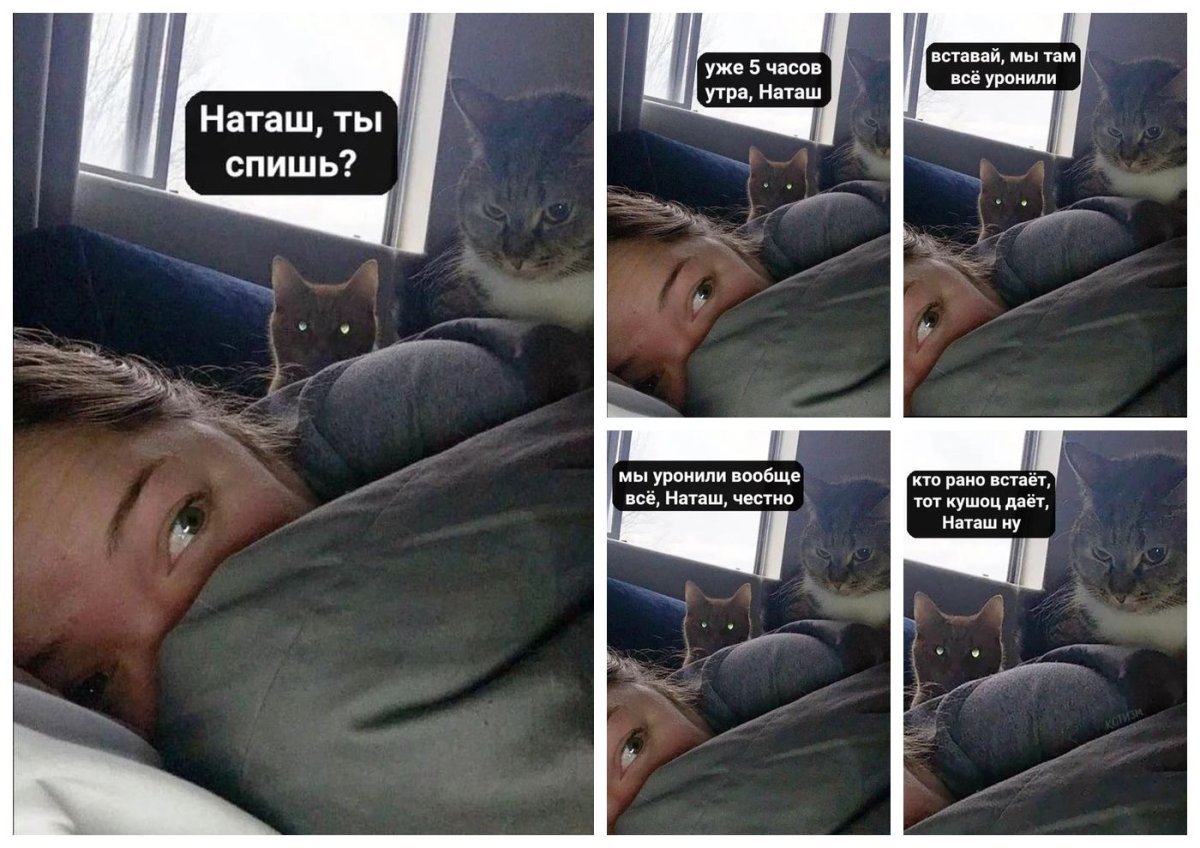 Лень вставать