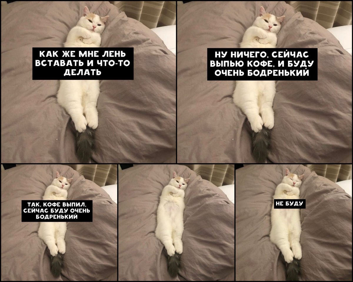 Я люблю спать