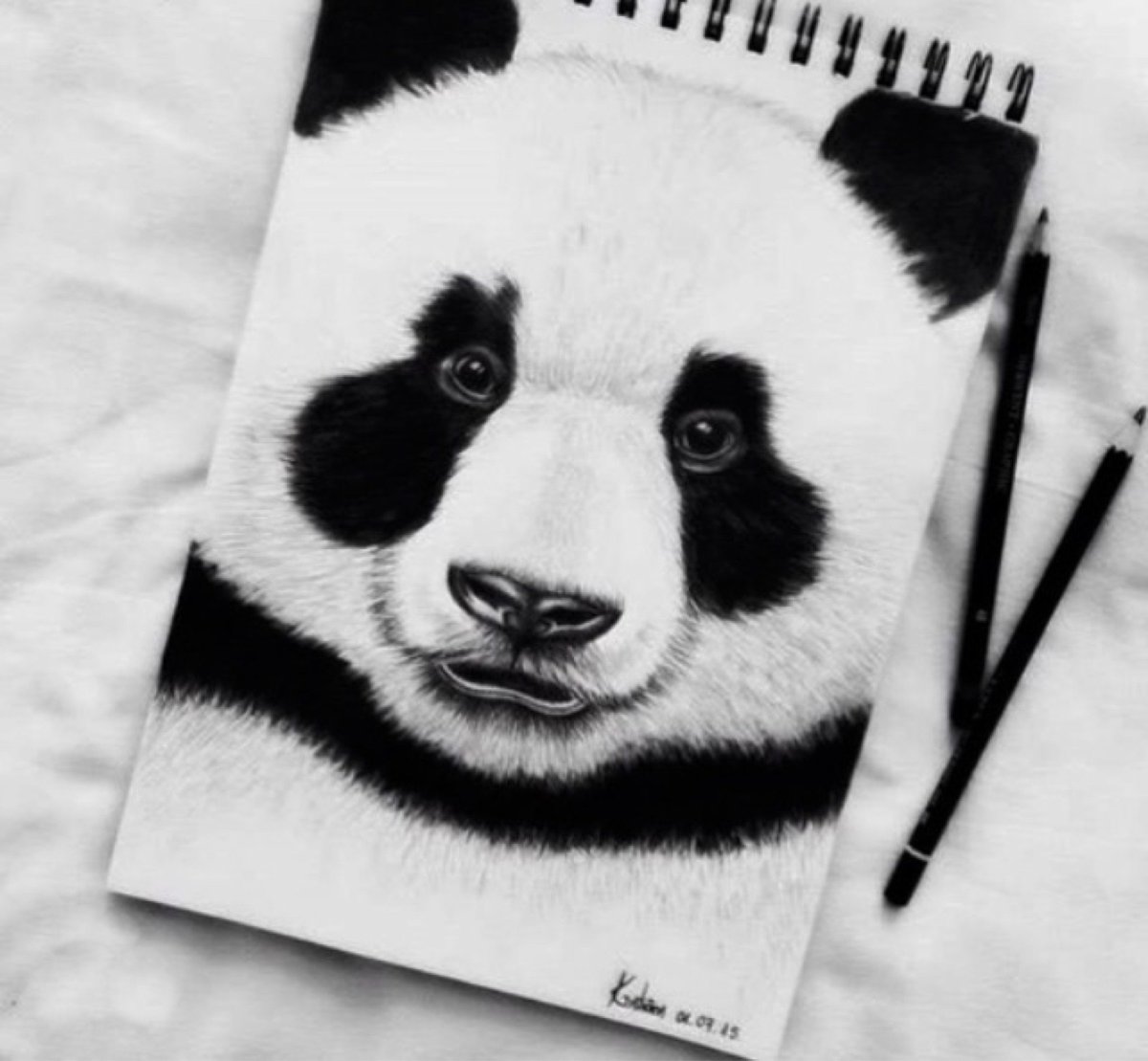 Раскраски милые пандочки