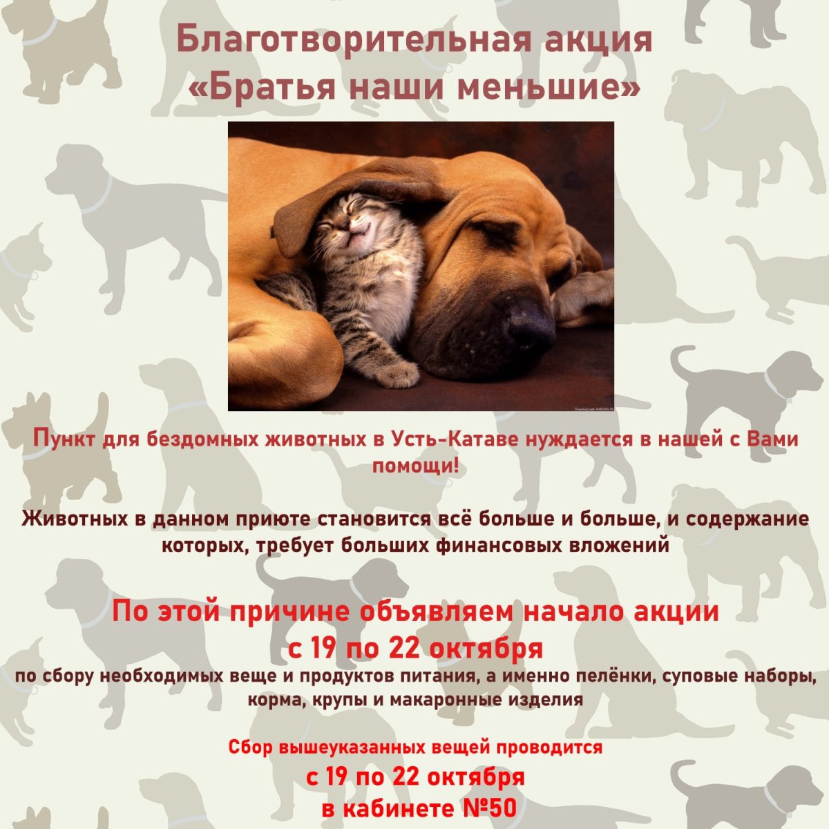 Акция братья наши меньшие