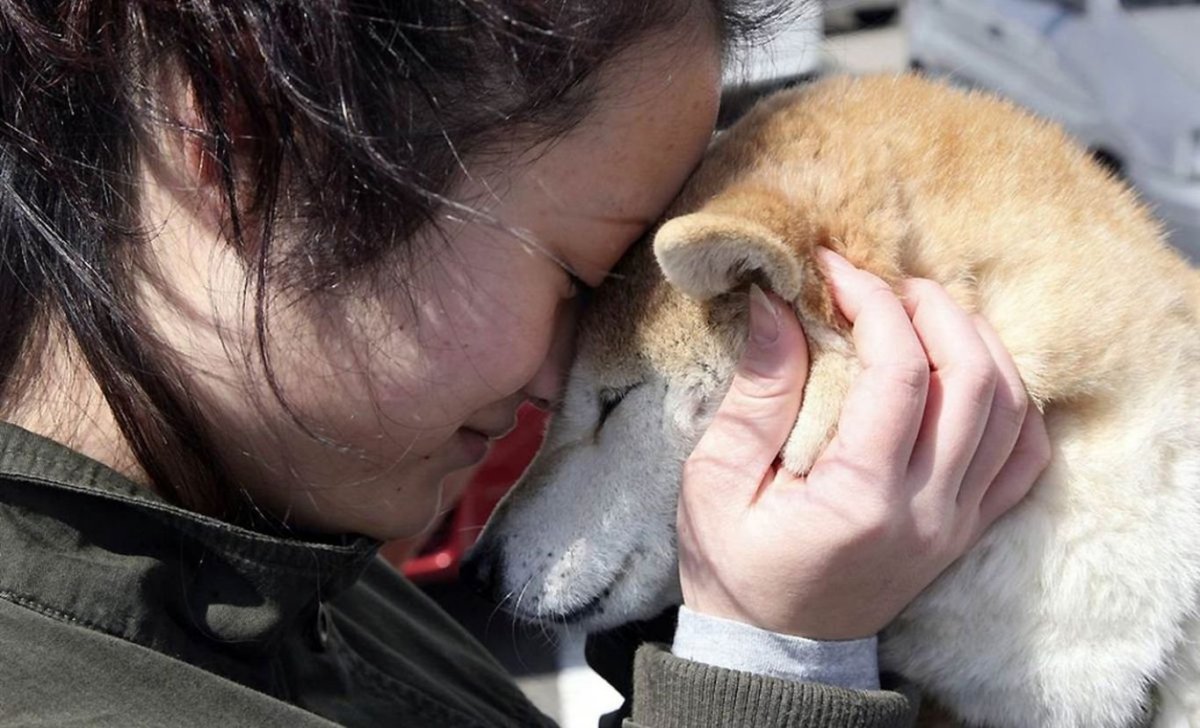 Люди и животные любовь