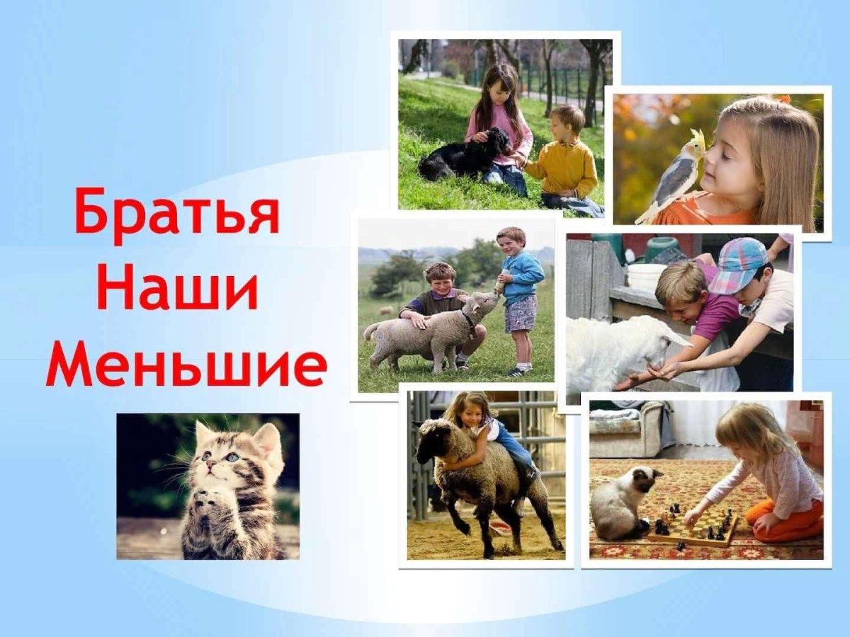 Братья наши меньшие