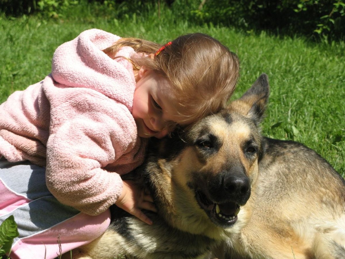 Животные братья наши меньшие