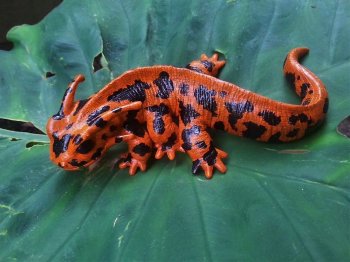 Огненная саламандра животное