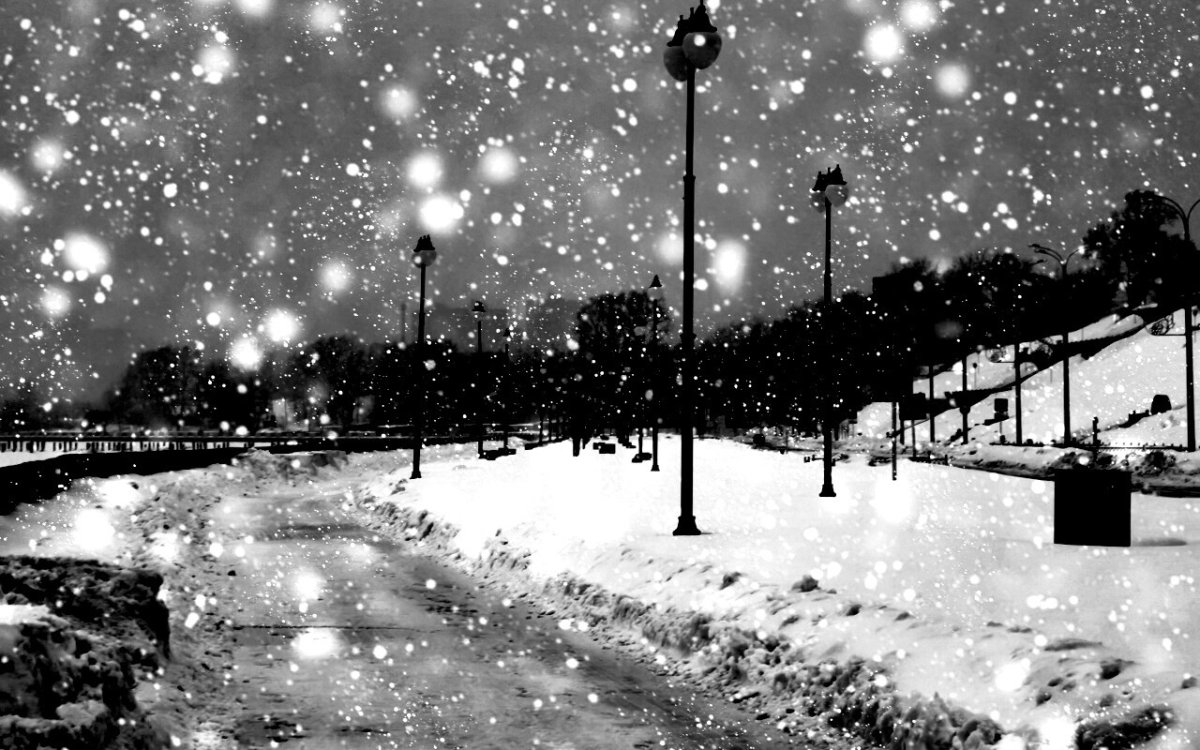 Зимний лес ночью