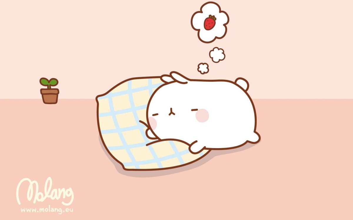 Корейский кролик Моланг