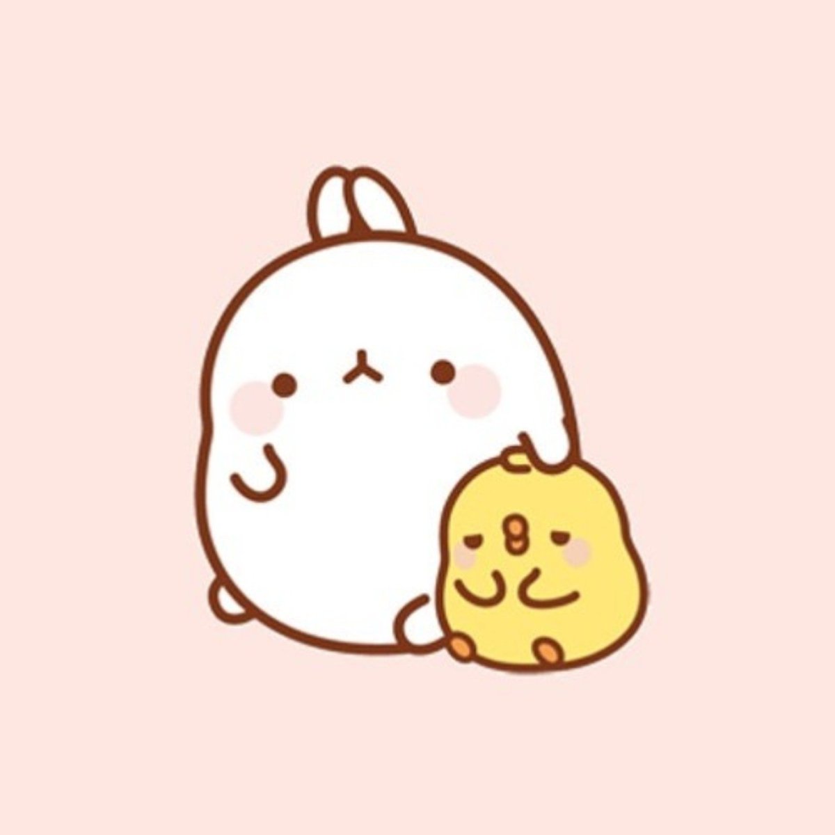 Моланг цыпленок