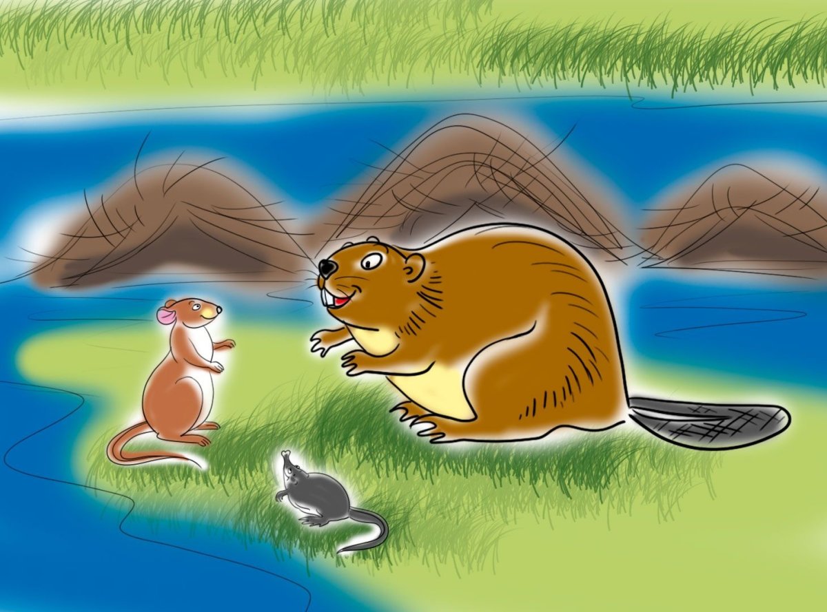 Картина бобры