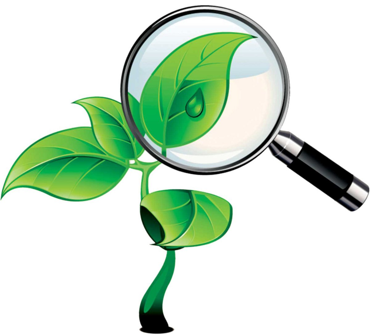 Бинокль "разведчик"