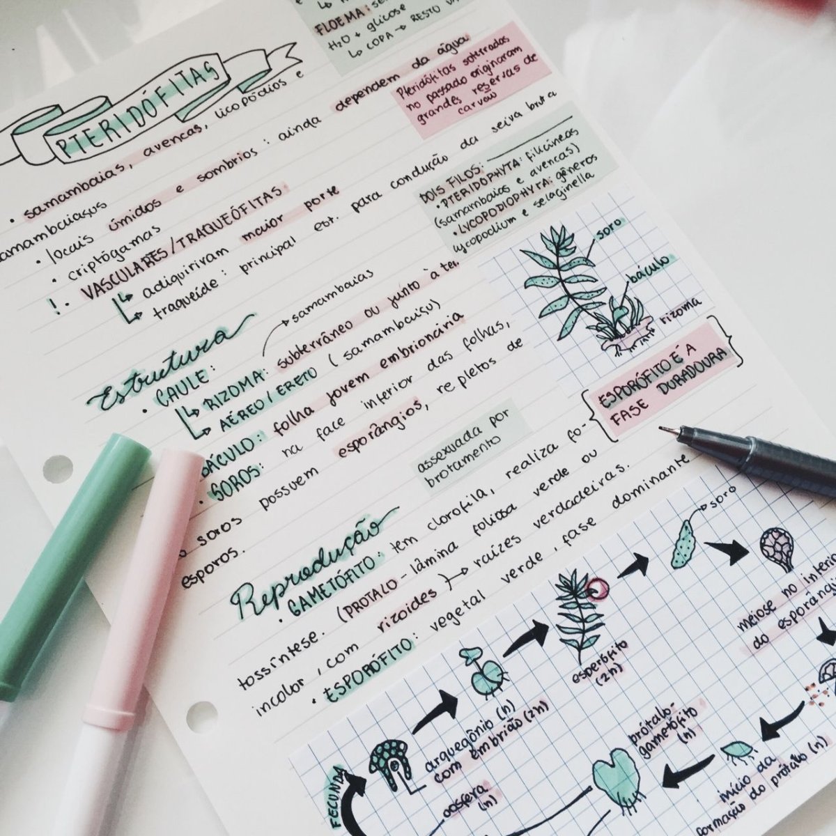 Дизайнер Flat Design