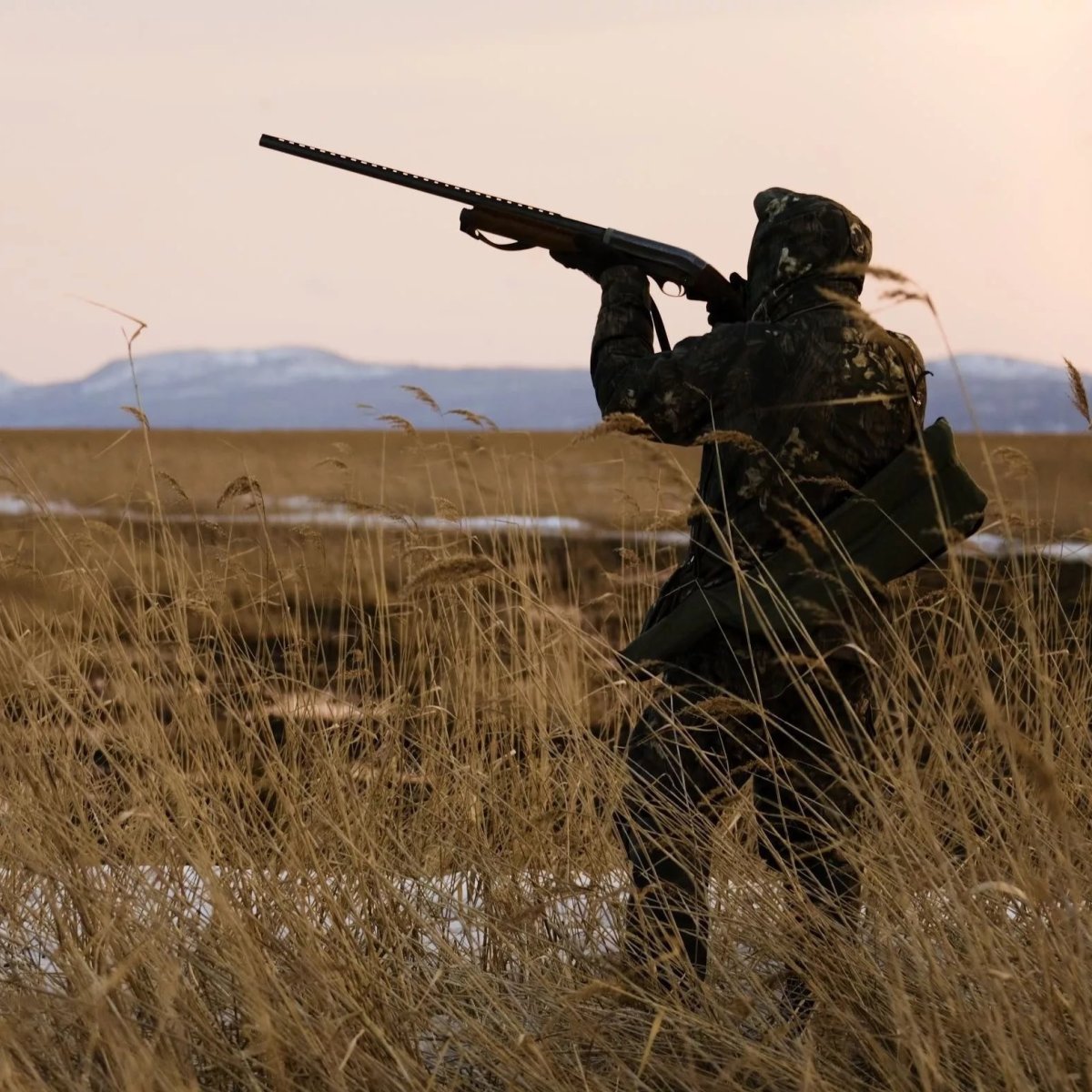 Охотник с ружьем мультяшный