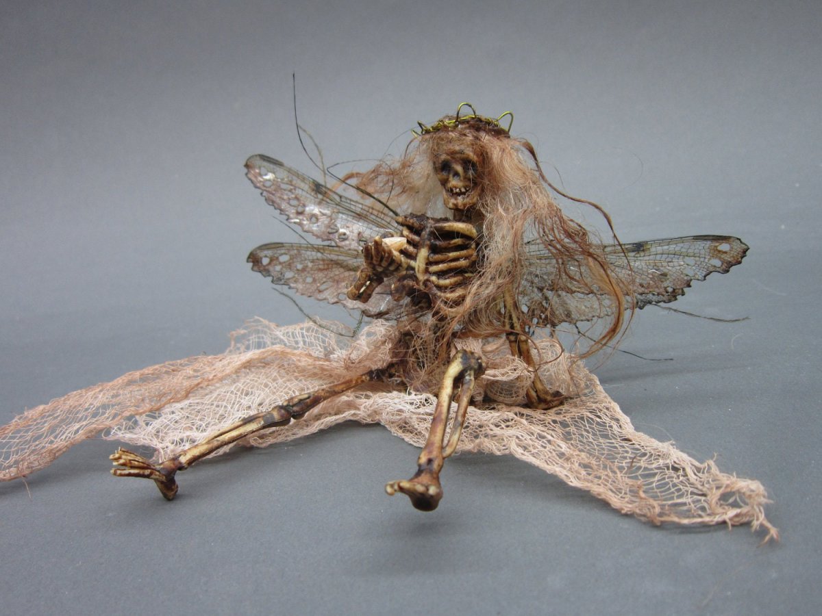 Зубная Фея смешная