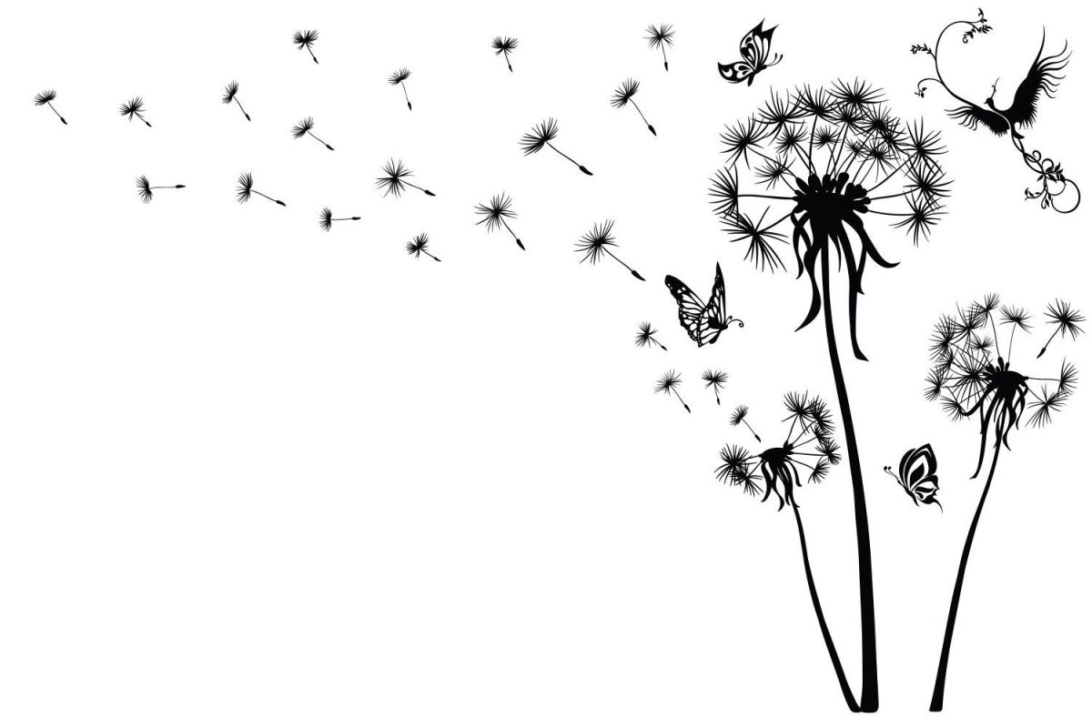 Одуванчик на прозрачном фоне